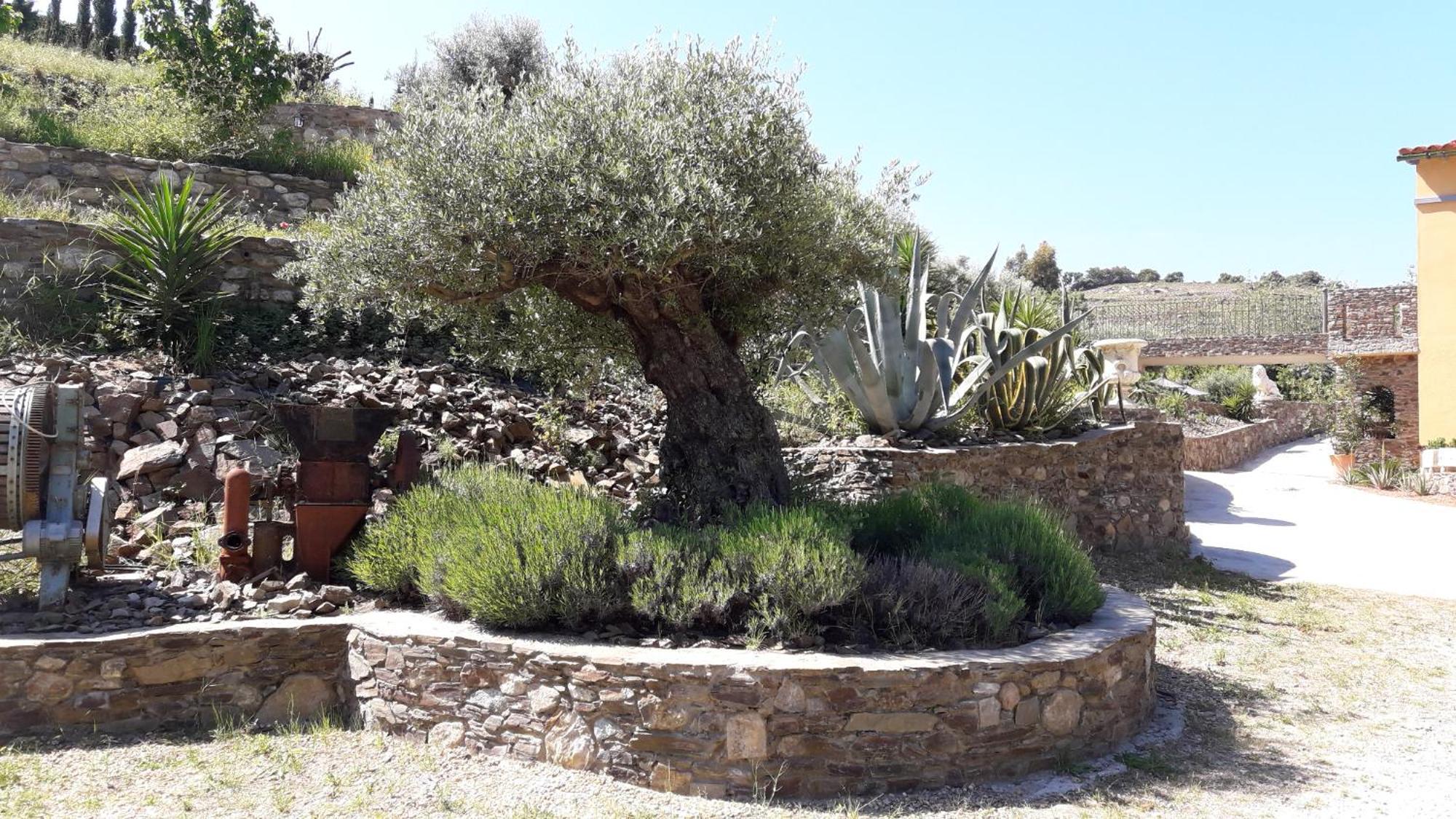 Mas Des Criques Villa Collioure Exterior photo